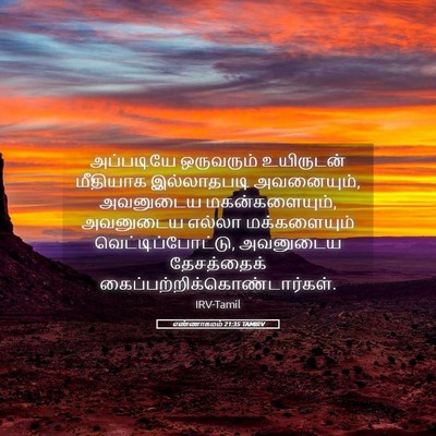 Picture 05 - எண்ணாகமம் 21:35 TAMIRV - அப்படியே ஒருவரும் - Bible Verse Picture