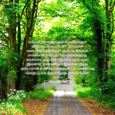 Picture 05 - எண்ணாகமம் 21:5 TAMIRV - மக்கள் - Bible Verse Picture
