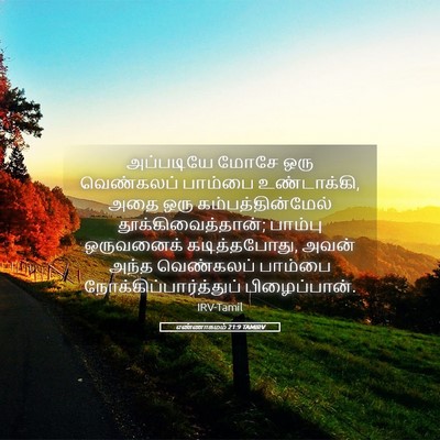 Picture 05 - எண்ணாகமம் 21:9 TAMIRV - அப்படியே மோசே ஒரு - Bible Verse Picture