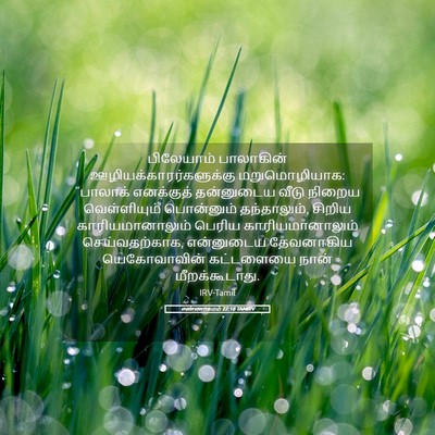 Picture 05 - எண்ணாகமம் 22:18 TAMIRV - பிலேயாம் பாலாகின் - Bible Verse Picture