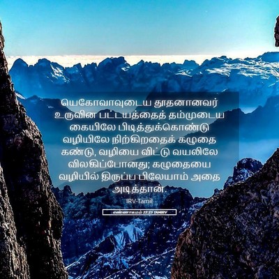 Picture 05 - எண்ணாகமம் 22:23 TAMIRV - யெகோவாவுடைய - Bible Verse Picture