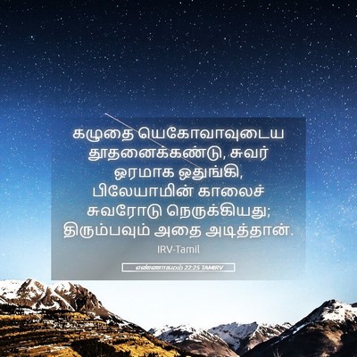 Picture 05 - எண்ணாகமம் 22:25 TAMIRV - கழுதை யெகோவாவுடைய - Bible Verse Picture