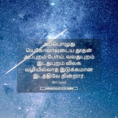 Picture 05 - எண்ணாகமம் 22:26 TAMIRV - அப்பொழுது - Bible Verse Picture