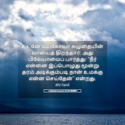 Picture 05 - எண்ணாகமம் 22:28 TAMIRV - உடனே யெகோவா - Bible Verse Picture