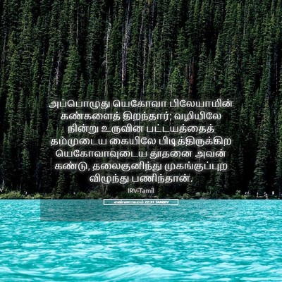 Picture 05 - எண்ணாகமம் 22:31 TAMIRV - அப்பொழுது யெகோவா - Bible Verse Picture