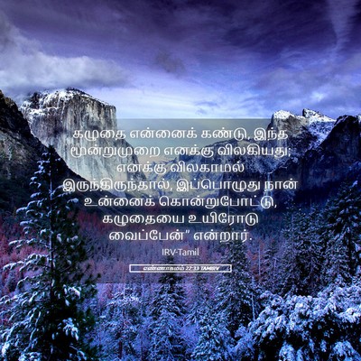 Picture 05 - எண்ணாகமம் 22:33 TAMIRV - கழுதை என்னைக் - Bible Verse Picture
