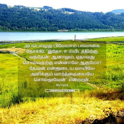 Picture 05 - எண்ணாகமம் 22:38 TAMIRV - அப்பொழுது - Bible Verse Picture