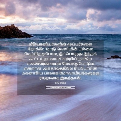 Picture 05 - எண்ணாகமம் 22:4 TAMIRV - மீதியானியர்களின் - Bible Verse Picture