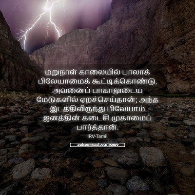 Picture 05 - எண்ணாகமம் 22:41 TAMIRV - மறுநாள் காலையில் - Bible Verse Picture