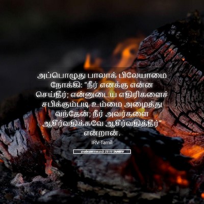 Picture 05 - எண்ணாகமம் 23:11 TAMIRV - அப்பொழுது பாலாக் - Bible Verse Picture