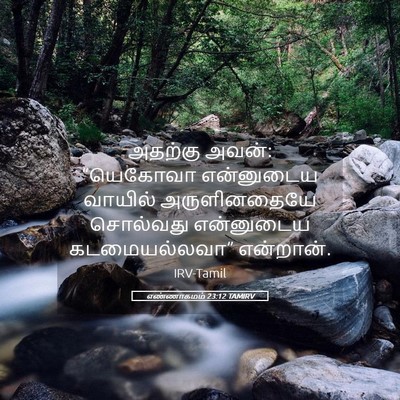 Picture 05 - எண்ணாகமம் 23:12 TAMIRV - அதற்கு அவன்: - Bible Verse Picture