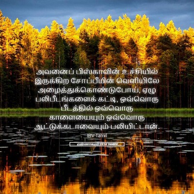 Picture 05 - எண்ணாகமம் 23:14 TAMIRV - அவனைப் பிஸ்காவின் - Bible Verse Picture