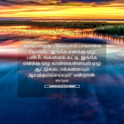 Picture 05 - எண்ணாகமம் 23:29 TAMIRV - அப்பொழுது - Bible Verse Picture