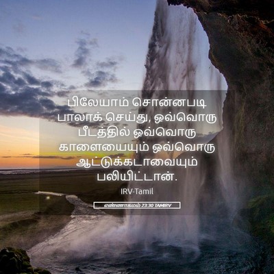 Picture 05 - எண்ணாகமம் 23:30 TAMIRV - பிலேயாம் சொன்னபடி - Bible Verse Picture