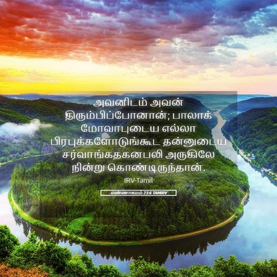 Picture 05 - எண்ணாகமம் 23:6 TAMIRV - அவனிடம் அவன் - Bible Verse Picture