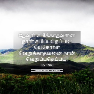 Picture 05 - எண்ணாகமம் 23:8 TAMIRV - தேவன் சபிக்காதவனை - Bible Verse Picture