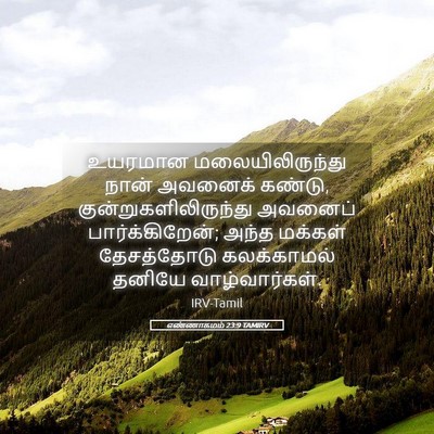 Picture 05 - எண்ணாகமம் 23:9 TAMIRV - உயரமான - Bible Verse Picture