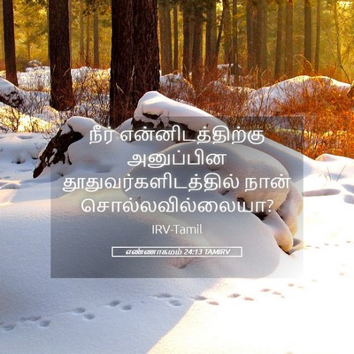 Picture 05 - எண்ணாகமம் 24:13 TAMIRV - நீர் - Bible Verse Picture
