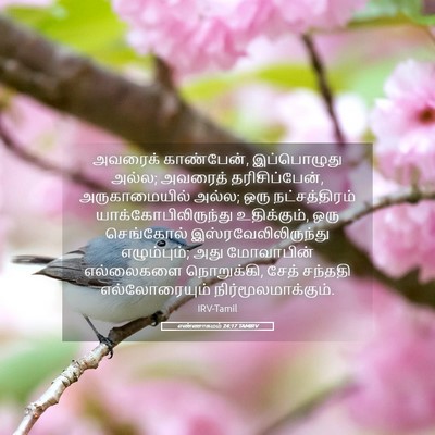 Picture 05 - எண்ணாகமம் 24:17 TAMIRV - அவரைக் காண்பேன், - Bible Verse Picture