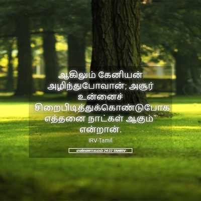 Picture 05 - எண்ணாகமம் 24:22 TAMIRV - ஆகிலும் கேனியன் - Bible Verse Picture