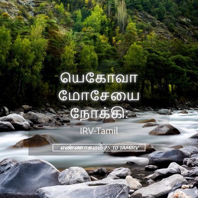 Picture 05 - எண்ணாகமம் 25:10 TAMIRV - யெகோவா மோசேயை - Bible Verse Picture