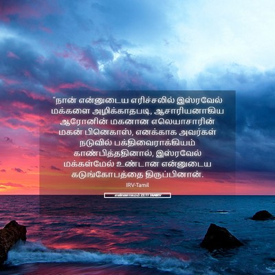 Picture 05 - எண்ணாகமம் 25:11 TAMIRV - “நான் என்னுடைய - Bible Verse Picture