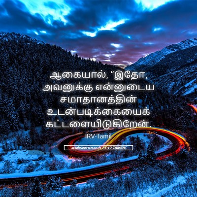 Picture 05 - எண்ணாகமம் 25:12 TAMIRV - ஆகையால், “இதோ, - Bible Verse Picture