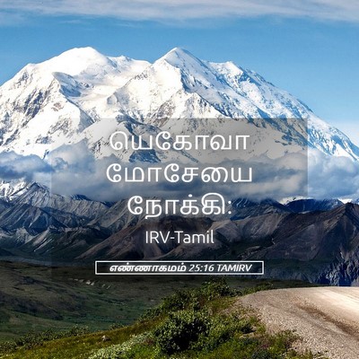 Picture 05 - எண்ணாகமம் 25:16 TAMIRV - யெகோவா மோசேயை - Bible Verse Picture