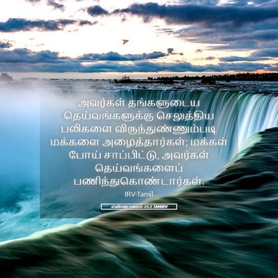 Picture 05 - எண்ணாகமம் 25:2 TAMIRV - அவர்கள் தங்களுடைய - Bible Verse Picture