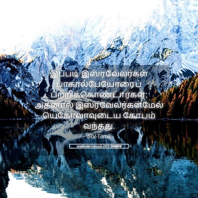 Picture 05 - எண்ணாகமம் 25:3 TAMIRV - இப்படி - Bible Verse Picture