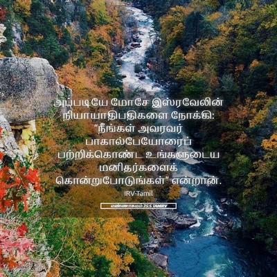 Picture 05 - எண்ணாகமம் 25:5 TAMIRV - அப்படியே மோசே - Bible Verse Picture
