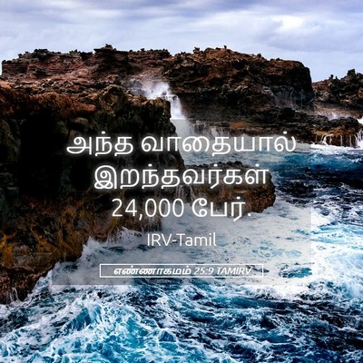 Picture 05 - எண்ணாகமம் 25:9 TAMIRV - அந்த வாதையால் - Bible Verse Picture
