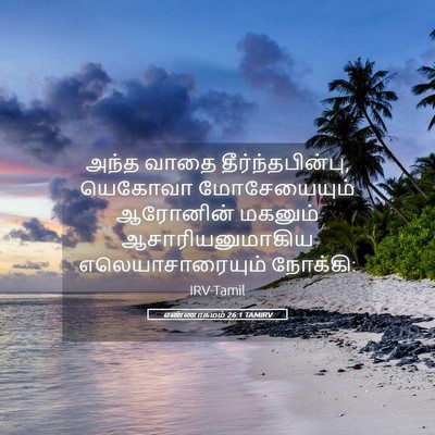 Picture 05 - எண்ணாகமம் 26:1 TAMIRV - அந்த வாதை - Bible Verse Picture
