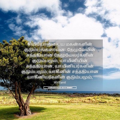 Picture 05 - எண்ணாகமம் 26:12 TAMIRV - சிமியோனுடைய - Bible Verse Picture