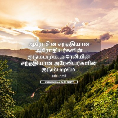 Picture 05 - எண்ணாகமம் 26:17 TAMIRV - ஆரோதின் சந்ததியான - Bible Verse Picture