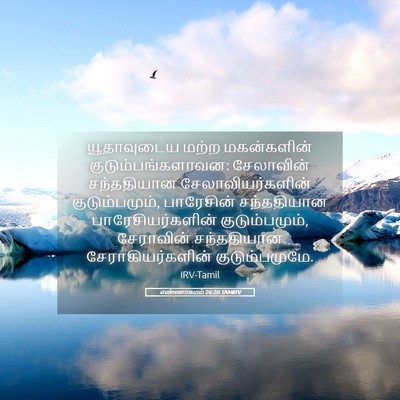 Picture 05 - எண்ணாகமம் 26:20 TAMIRV - யூதாவுடைய மற்ற - Bible Verse Picture