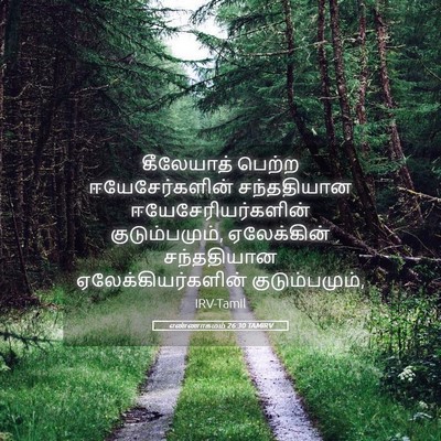 Picture 05 - எண்ணாகமம் 26:30 TAMIRV - கீலேயாத் பெற்ற - Bible Verse Picture