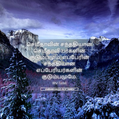 Picture 05 - எண்ணாகமம் 26:32 TAMIRV - செமீதாவின் - Bible Verse Picture