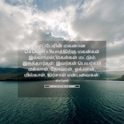 Picture 05 - எண்ணாகமம் 26:33 TAMIRV - எப்பேரின் மகனான - Bible Verse Picture