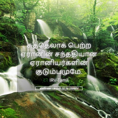 Picture 05 - எண்ணாகமம் 26:36 TAMIRV - சுத்தெலாக் பெற்ற - Bible Verse Picture