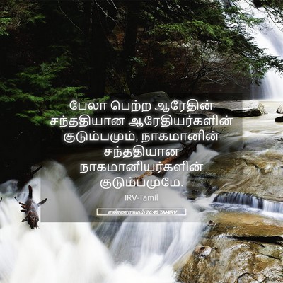 Picture 05 - எண்ணாகமம் 26:40 TAMIRV - பேலா பெற்ற - Bible Verse Picture