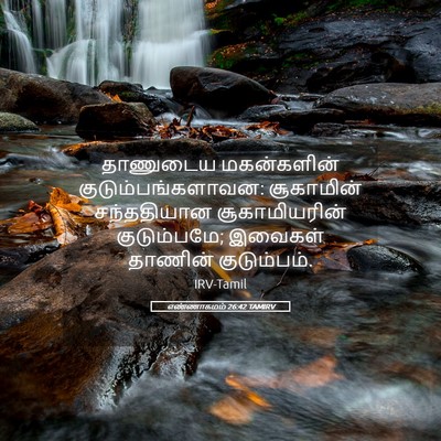 Picture 05 - எண்ணாகமம் 26:42 TAMIRV - தாணுடைய மகன்களின் - Bible Verse Picture