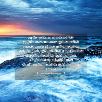 Picture 05 - எண்ணாகமம் 26:44 TAMIRV - ஆசேருடைய - Bible Verse Picture