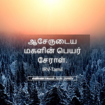 Picture 05 - எண்ணாகமம் 26:46 TAMIRV - ஆசேருடைய மகளின் - Bible Verse Picture