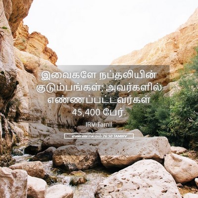 Picture 05 - எண்ணாகமம் 26:50 TAMIRV - இவைகளே நப்தலியின் - Bible Verse Picture