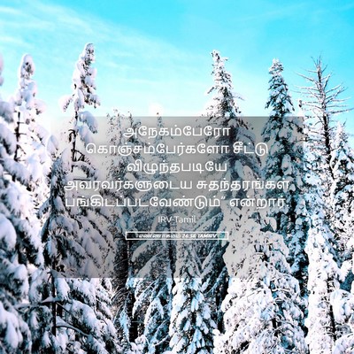 Picture 05 - எண்ணாகமம் 26:56 TAMIRV - அநேகம்பேரோ - Bible Verse Picture