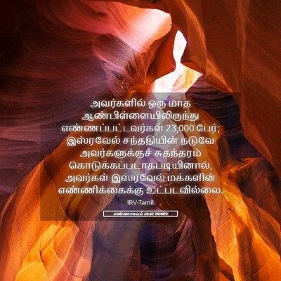 Picture 05 - எண்ணாகமம் 26:62 TAMIRV - அவர்களில் ஒரு மாத - Bible Verse Picture