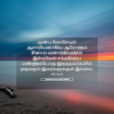 Picture 05 - எண்ணாகமம் 26:64 TAMIRV - முன்பு மோசேயும் - Bible Verse Picture