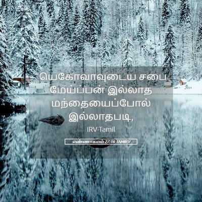 Picture 05 - எண்ணாகமம் 27:16 TAMIRV - “யெகோவாவுடைய சபை - Bible Verse Picture