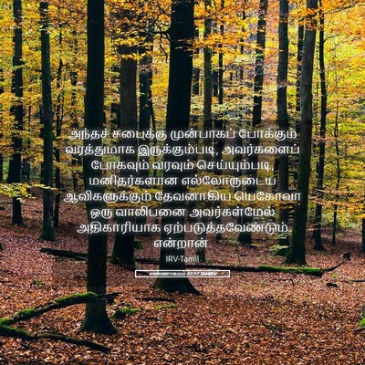 Picture 05 - எண்ணாகமம் 27:17 TAMIRV - அந்தச் சபைக்கு - Bible Verse Picture